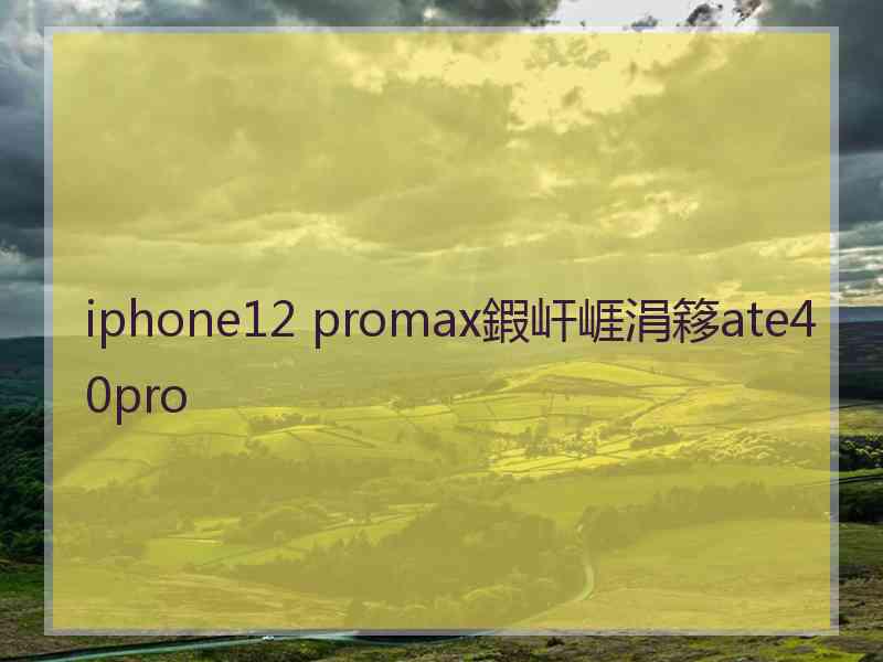 iphone12 promax鍜屽崕涓簃ate40pro