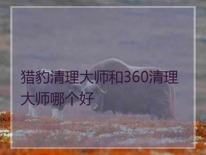 猎豹清理大师和360清理大师哪个好