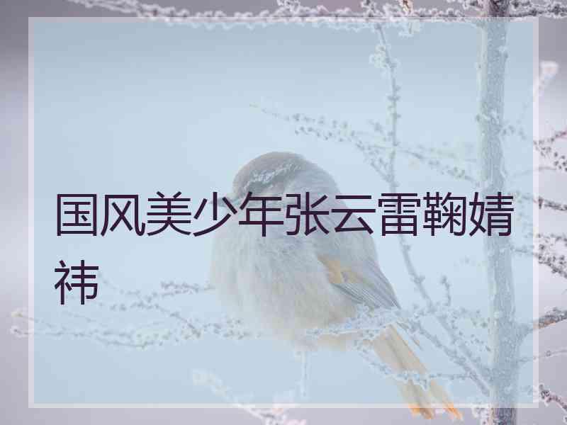 国风美少年张云雷鞠婧祎