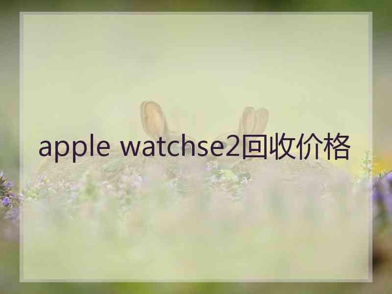 apple watchse2回收价格