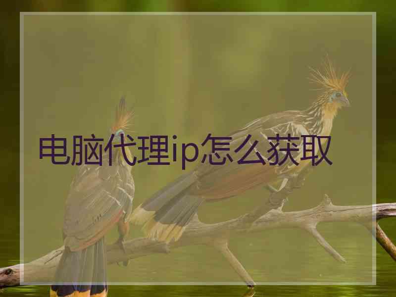 电脑代理ip怎么获取