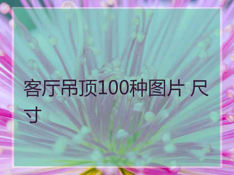 客厅吊顶100种图片 尺寸