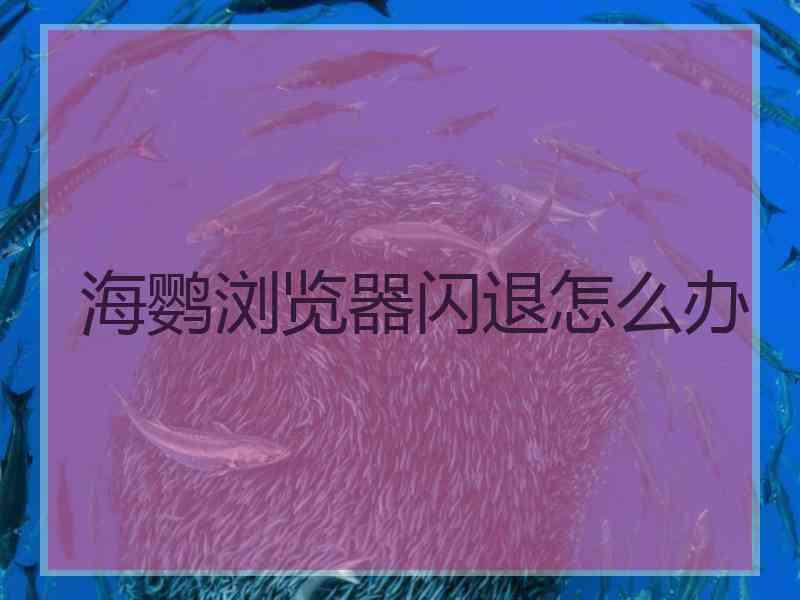 海鹦浏览器闪退怎么办