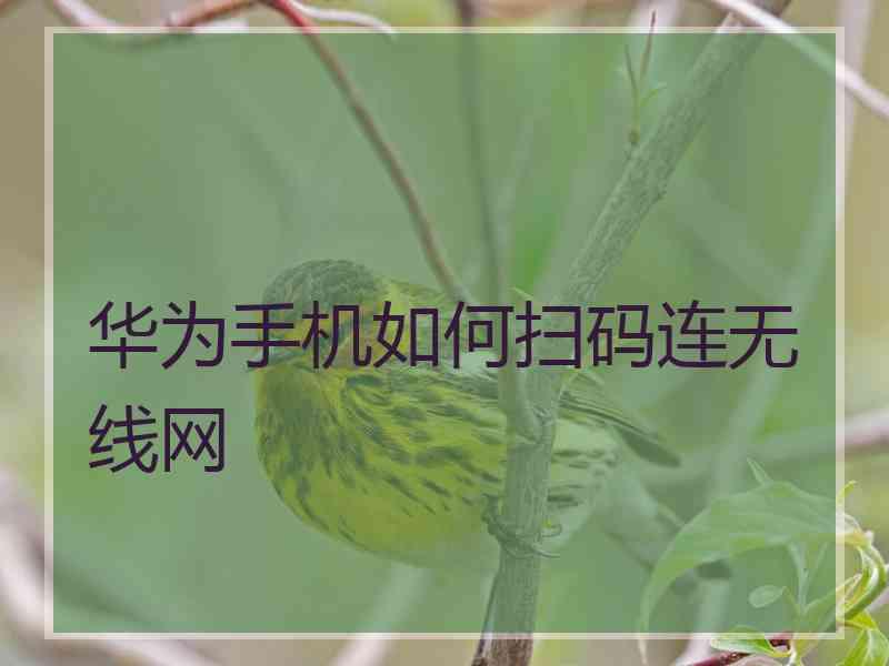 华为手机如何扫码连无线网