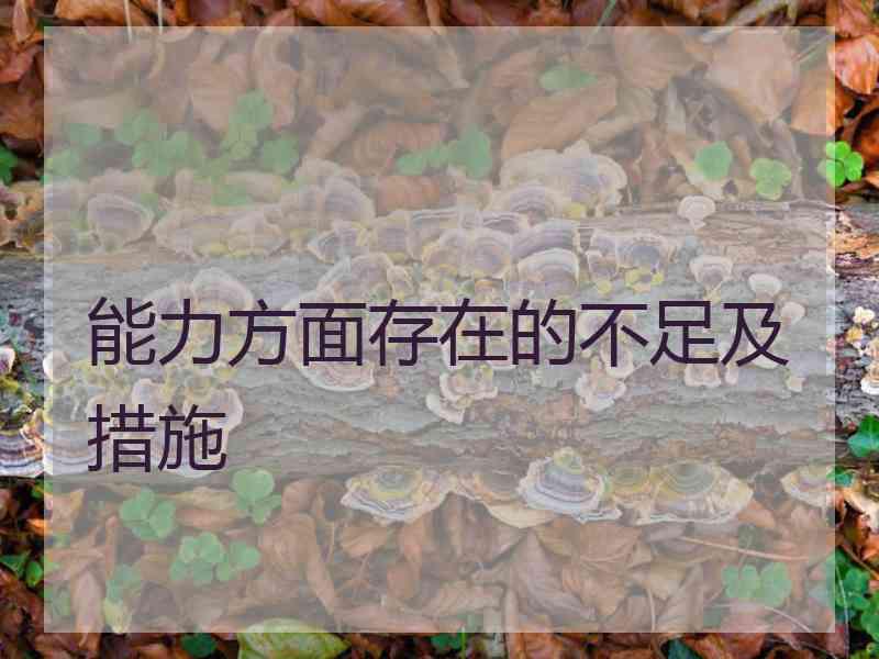 能力方面存在的不足及措施