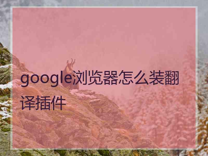google浏览器怎么装翻译插件