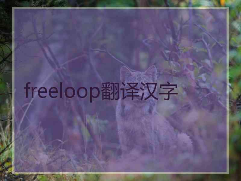 freeloop翻译汉字