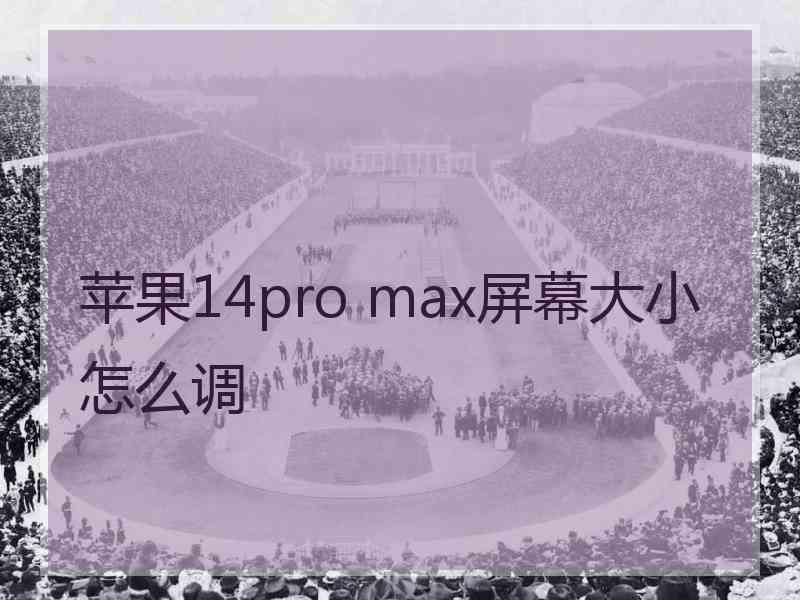 苹果14pro max屏幕大小怎么调