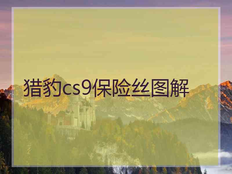 猎豹cs9保险丝图解