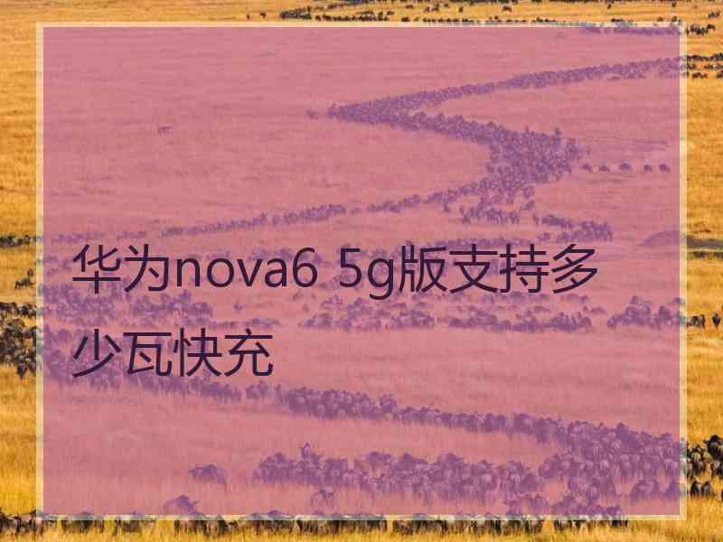 华为nova6 5g版支持多少瓦快充