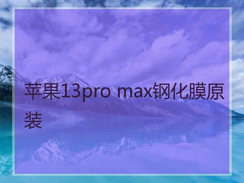 苹果13pro max钢化膜原装