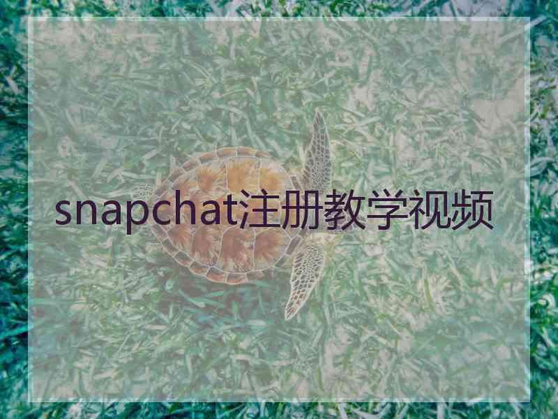 snapchat注册教学视频