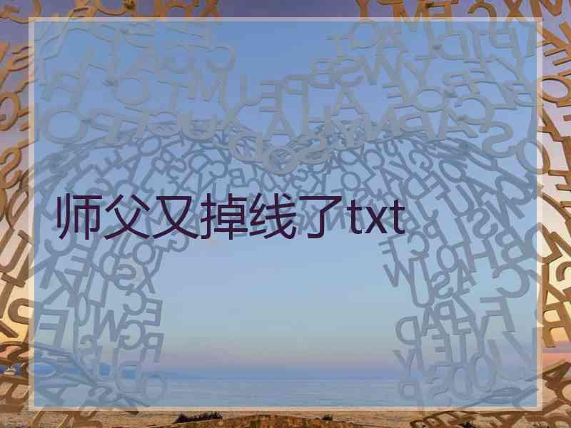 师父又掉线了txt