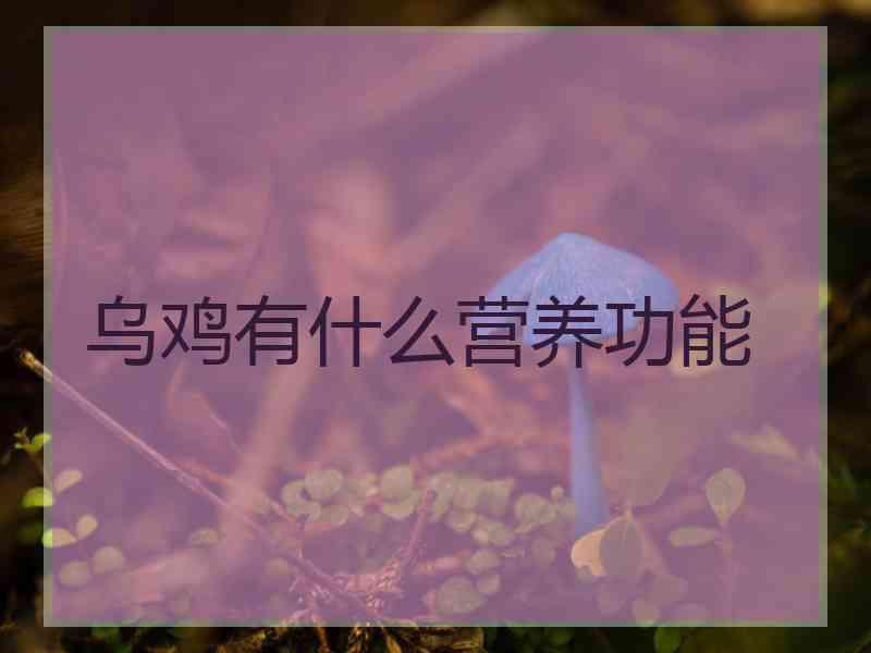 乌鸡有什么营养功能