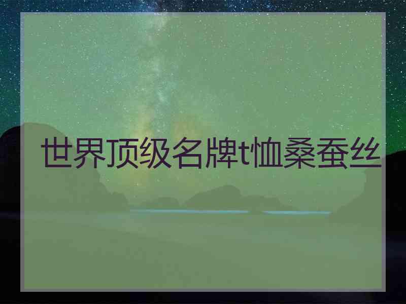 世界顶级名牌t恤桑蚕丝