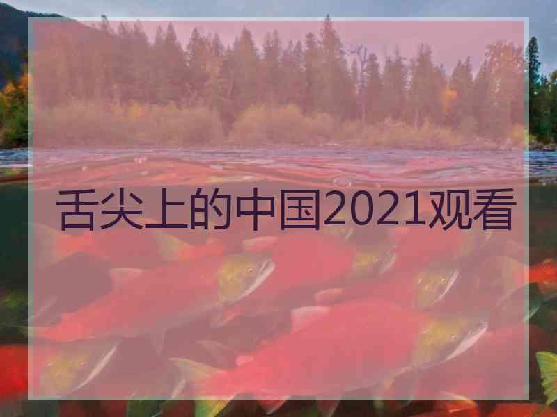 舌尖上的中国2021观看