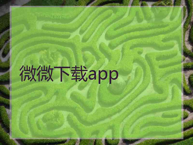 微微下载app