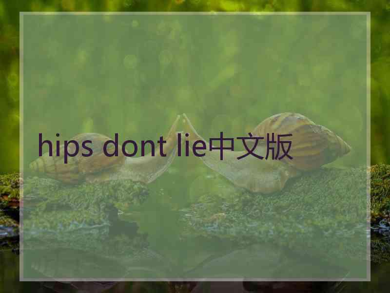 hips dont lie中文版