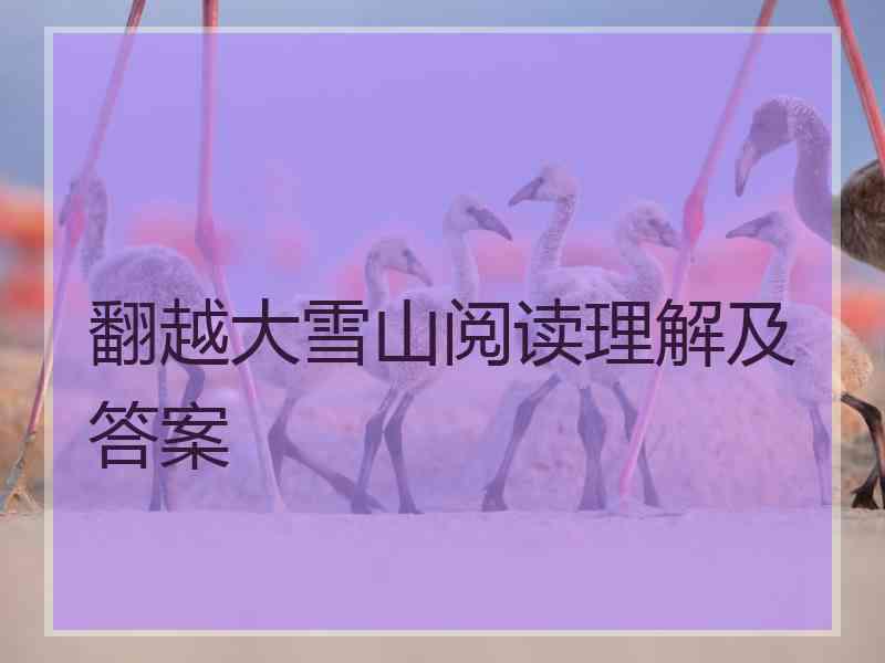 翻越大雪山阅读理解及答案