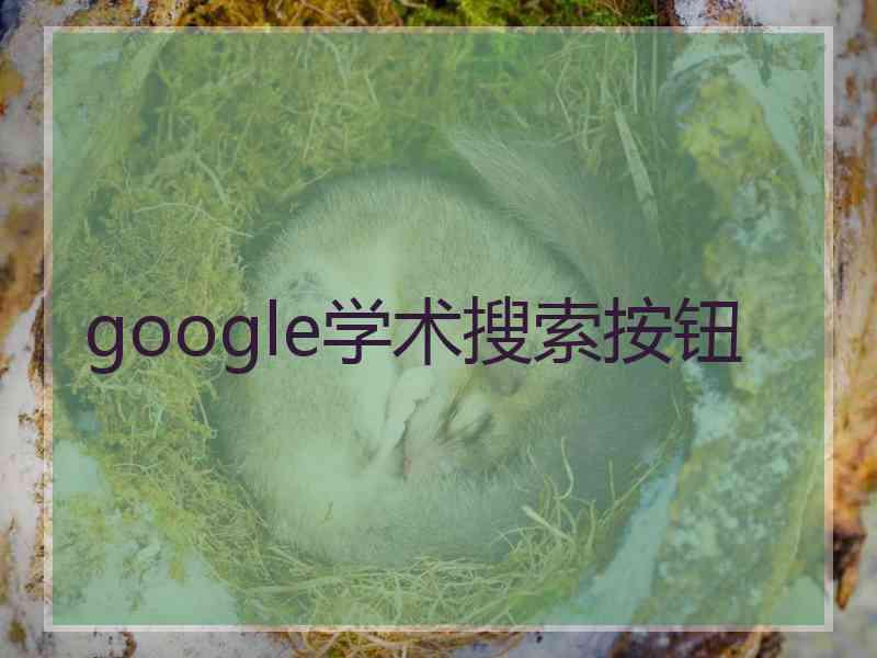 google学术搜索按钮