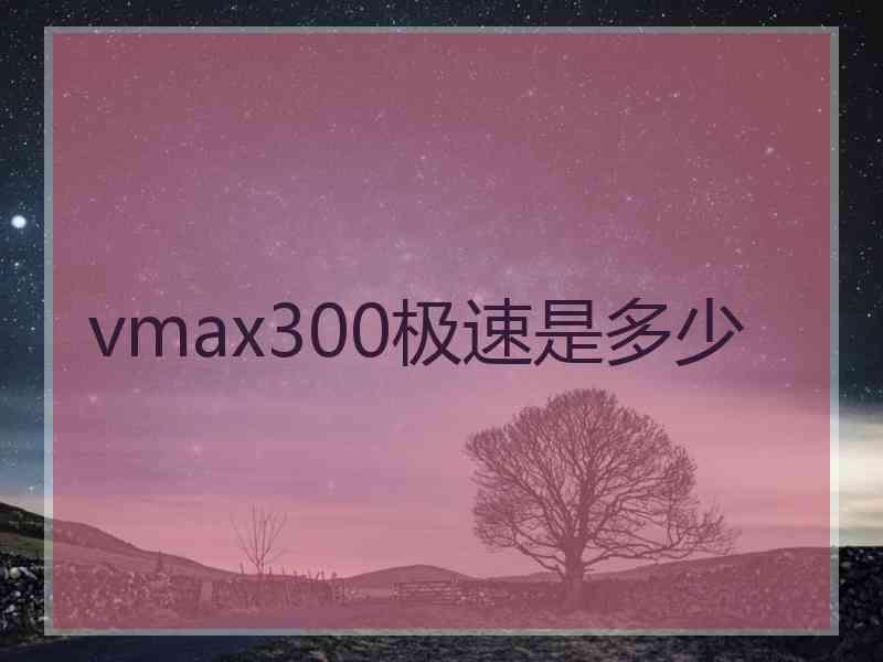 vmax300极速是多少