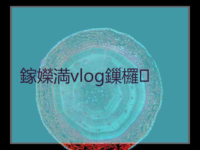 鎵嬫満vlog鏁欏