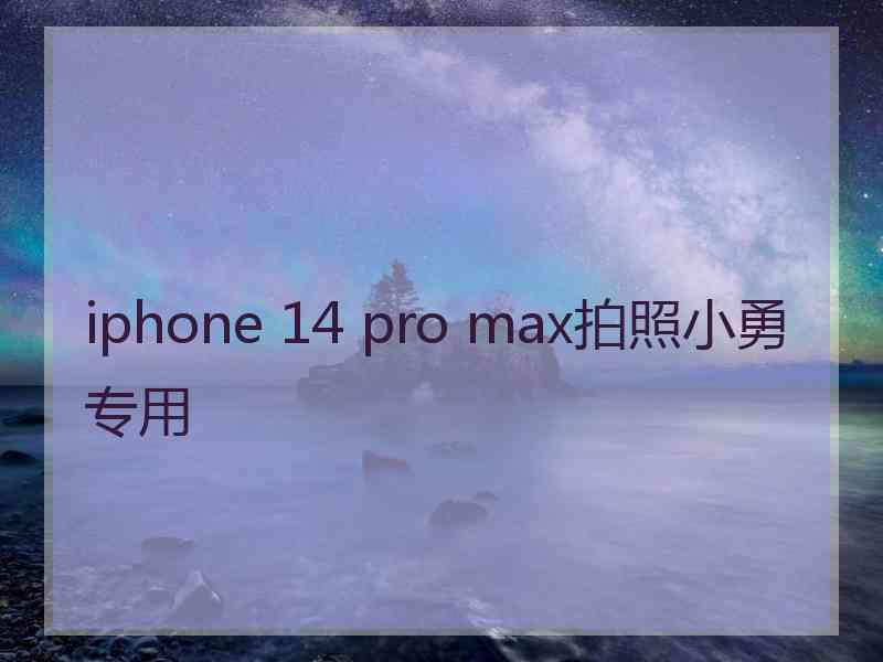 iphone 14 pro max拍照小勇专用