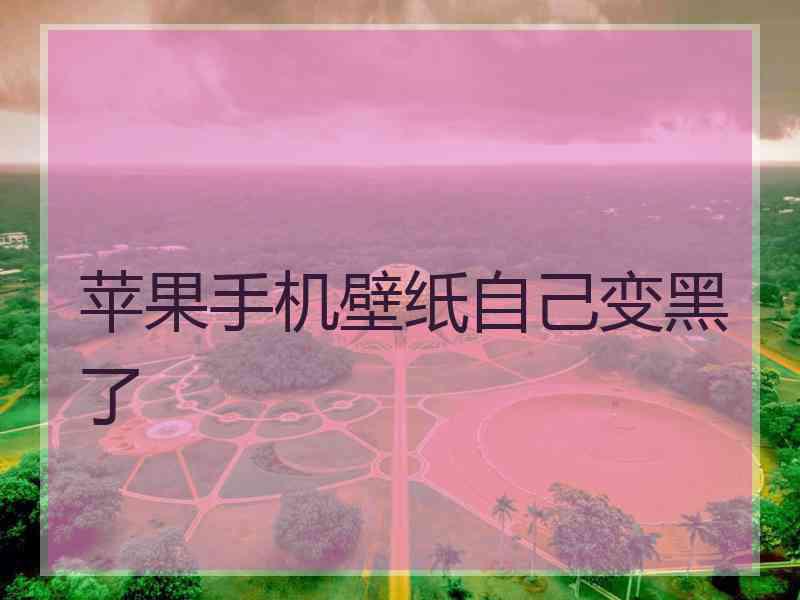 苹果手机壁纸自己变黑了