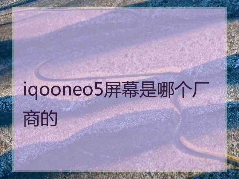 iqooneo5屏幕是哪个厂商的