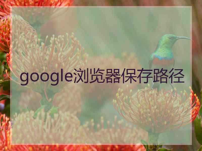 google浏览器保存路径