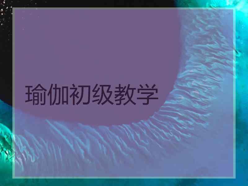 瑜伽初级教学