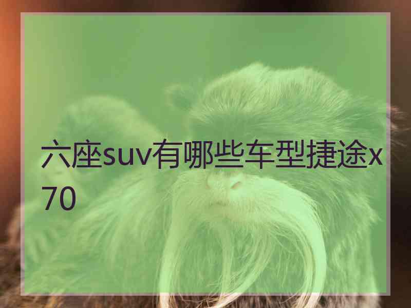 六座suv有哪些车型捷途x70