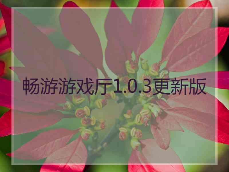 畅游游戏厅1.0.3更新版