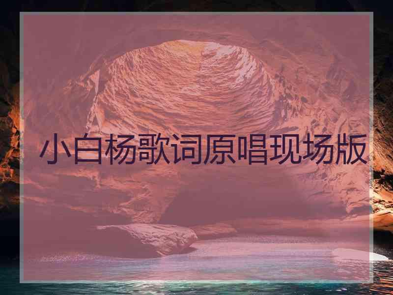 小白杨歌词原唱现场版