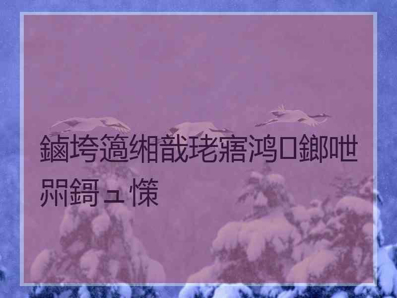 鏀垮簻缃戠珯寤鸿鎯呭喌鎶ュ憡