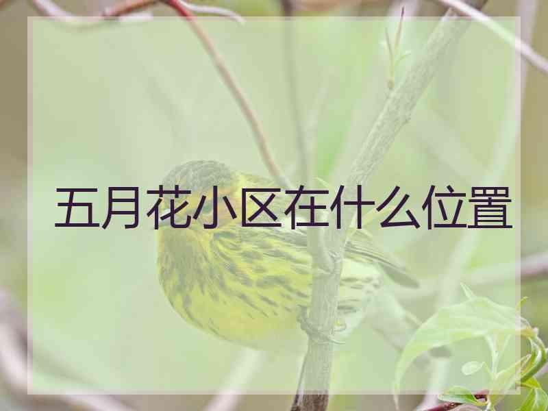 五月花小区在什么位置