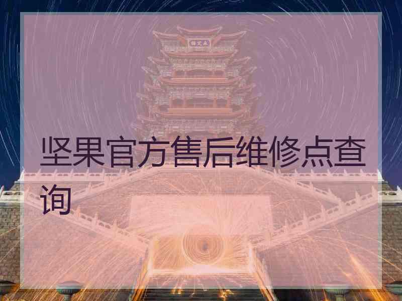 坚果官方售后维修点查询