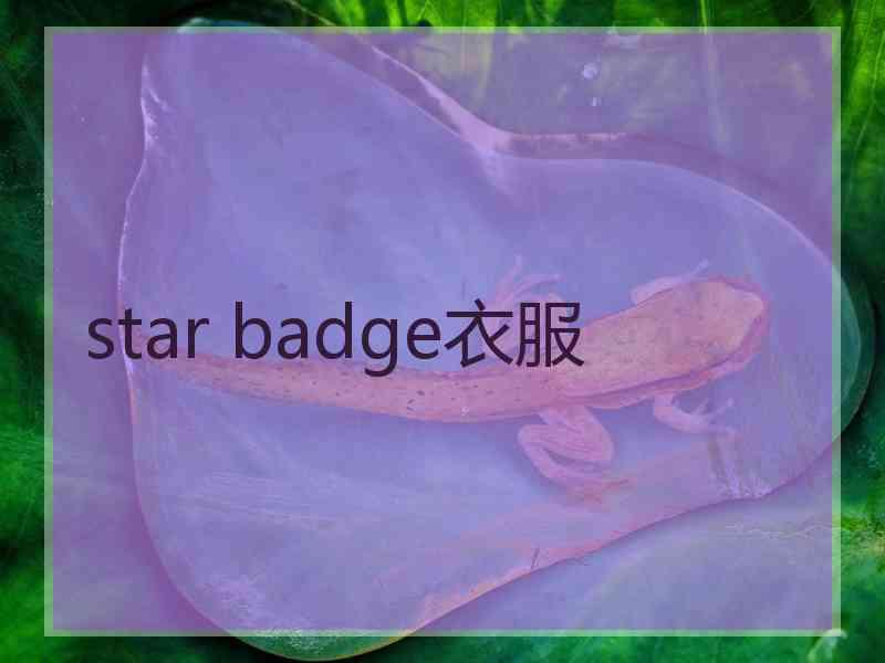 star badge衣服