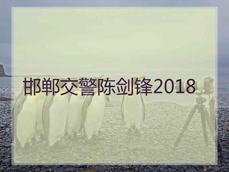 邯郸交警陈剑锋2018