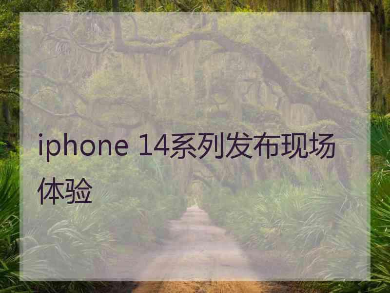 iphone 14系列发布现场体验