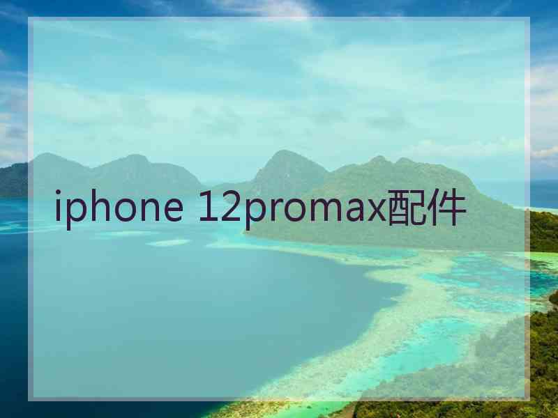 iphone 12promax配件