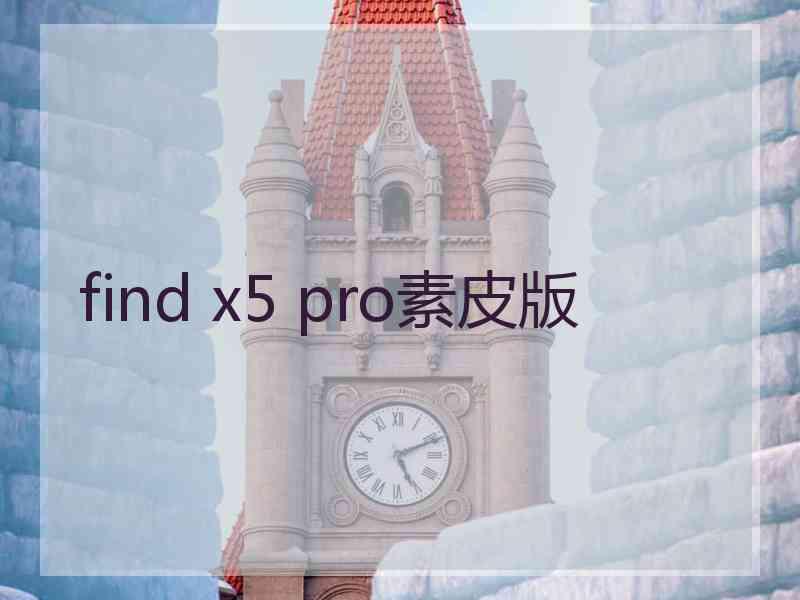 find x5 pro素皮版