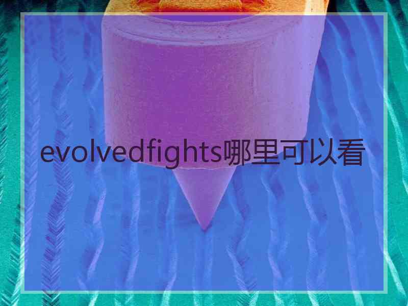 evolvedfights哪里可以看