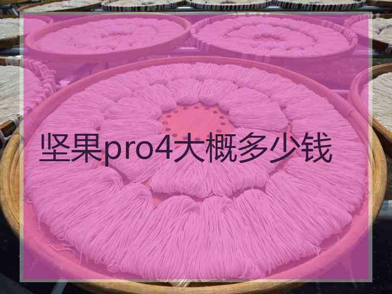 坚果pro4大概多少钱