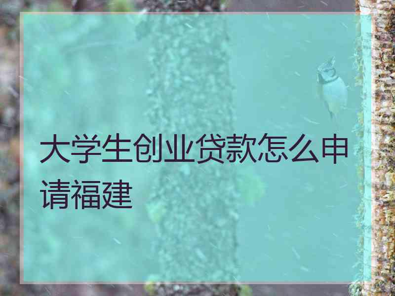 大学生创业贷款怎么申请福建