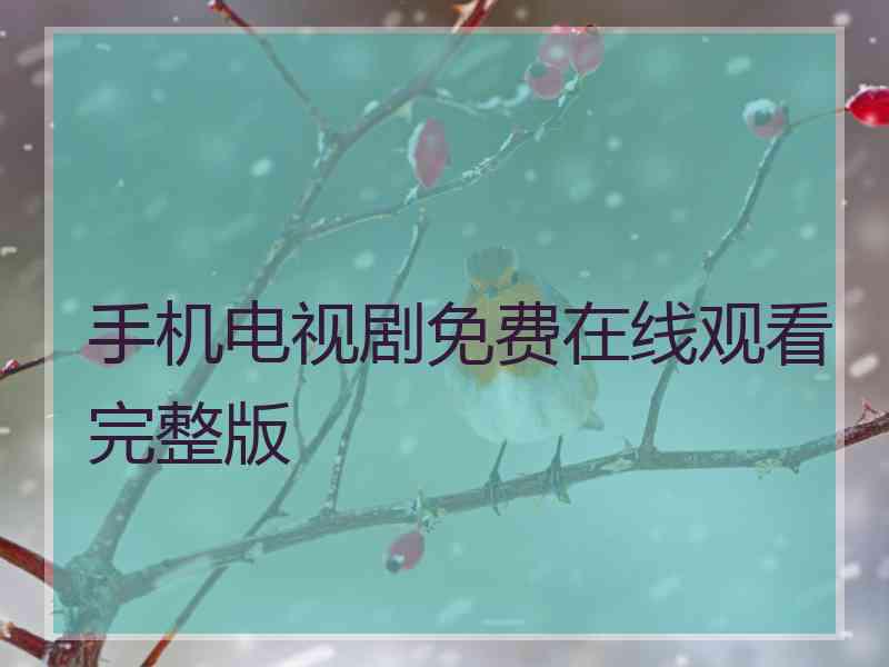 手机电视剧免费在线观看完整版