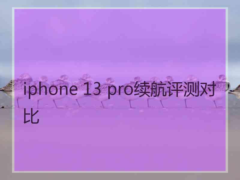 iphone 13 pro续航评测对比