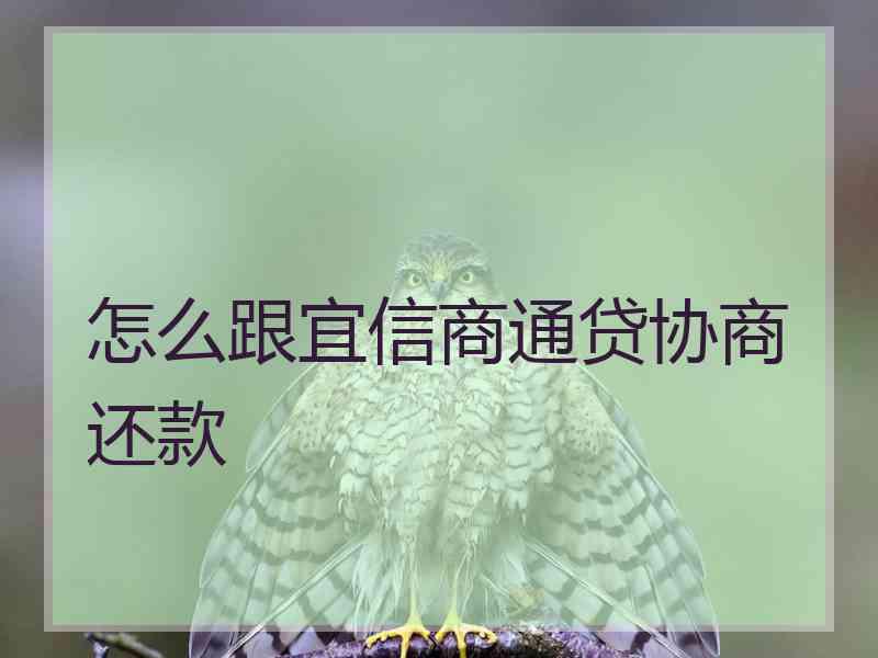 怎么跟宜信商通贷协商还款