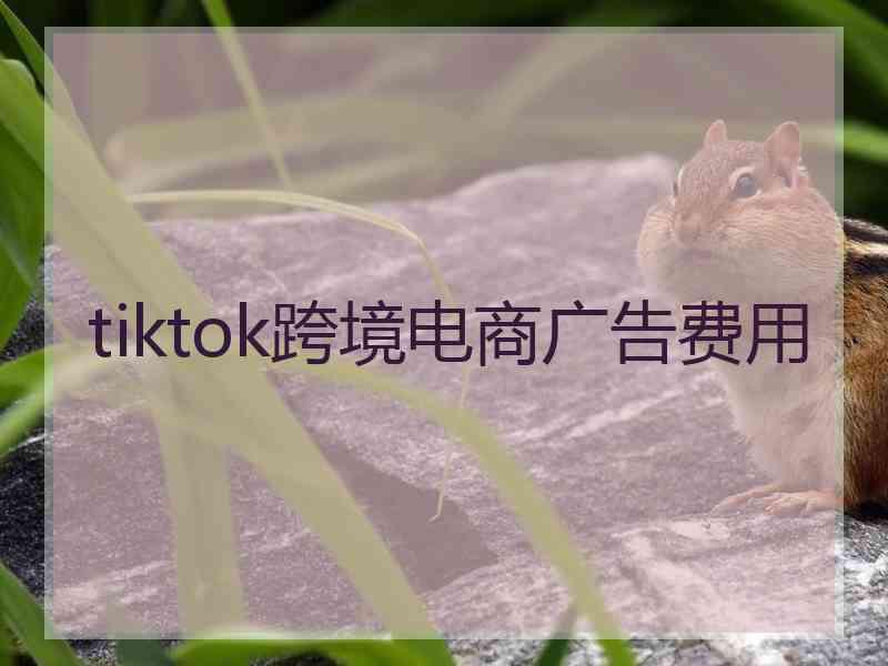 tiktok跨境电商广告费用