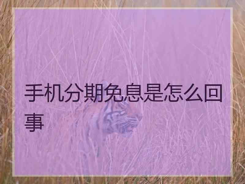 手机分期免息是怎么回事